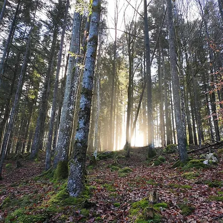 Naturresort Fischergut - Wolfgangthal Sankt Wolfgang im Salzkammergut
